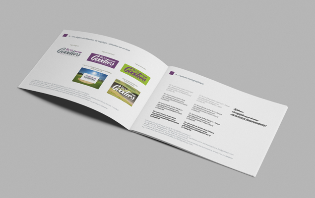 Création et réalisation de la charte graphique du logo pour la marque Bcm Goodies 